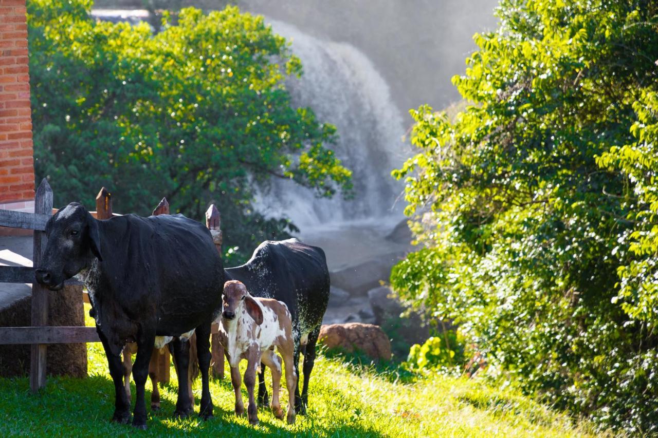 Chales Pedacim Du Ceu Bueno Brandão Buitenkant foto